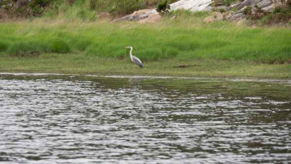 2018 06 02 gap of dunloe ireland 2018 irelandccctour 162 jpg