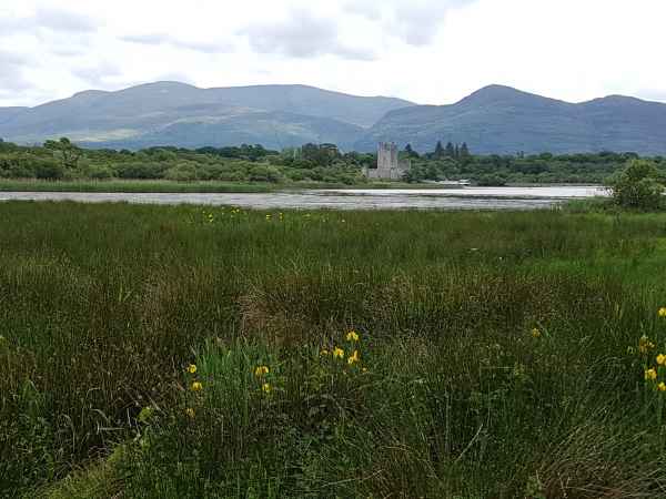 2018 06 03 ireland 2018 irelandccctour killarny 183 jpg