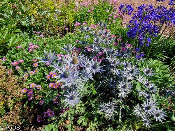 2022 08 09 dumfrieshouse scot 2022 005 2