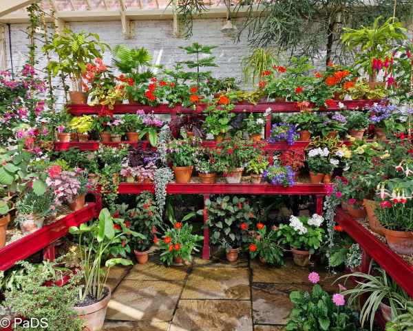 2022 08 09 dumfrieshouse scot 2022 007 2