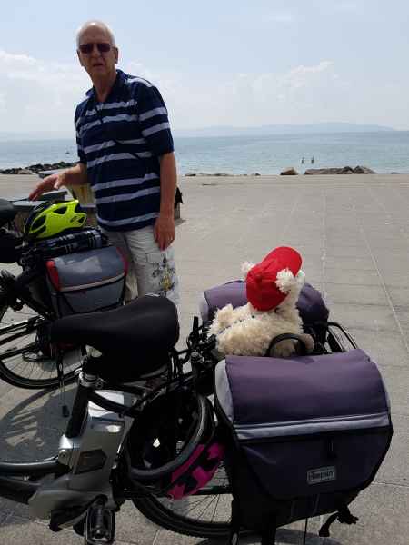 2018 06 08 estersheep gallway ireland 2018 irelandccctour peter sykes 091 jpg