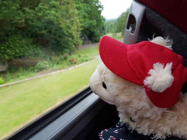 2018 06 13 belfast estersheep ireland 2018 irelandccctour 077 jpg