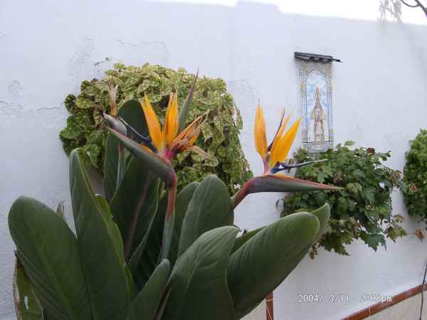 2004 03 11 nerja2004 salobrena 065 jpg