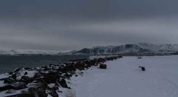 2020 02 29 alftanes iceland 2020 032 jpg