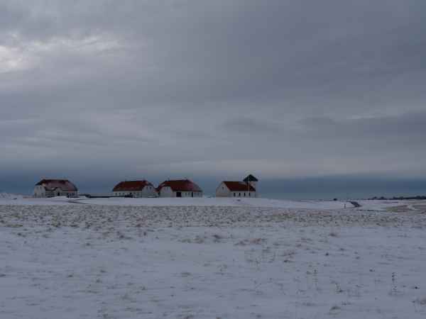 2020 02 29 alftanes iceland 2020 035 jpg