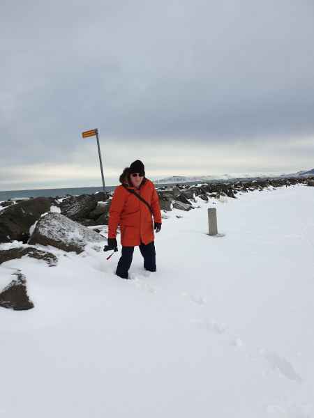 2020 02 29 alftanes iceland 2020 peter sykes 033 jpg