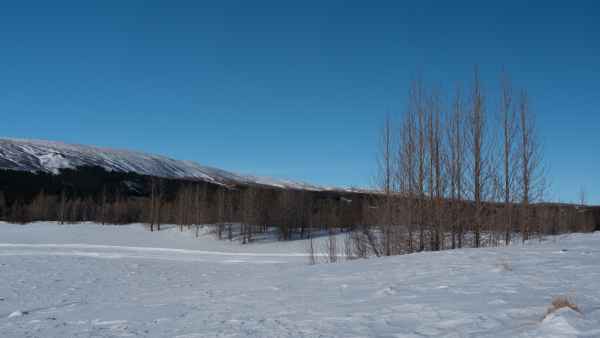 2020 03 08 haukadalskirkja iceland 2020 snowday 107 jpg