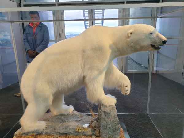 2020 03 09 iceland 2020 reykjavik thepearl 020 jpg