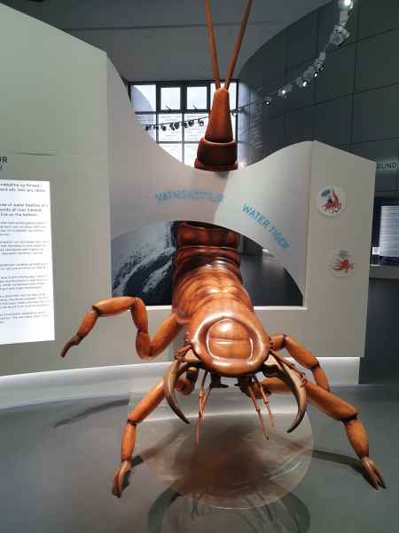 2020 03 09 iceland 2020 reykjavik thepearl 030 jpg