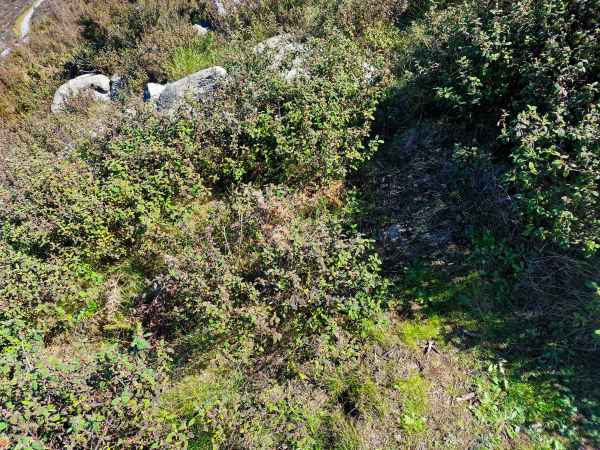 2023 02 05 foia plants 016 d 2