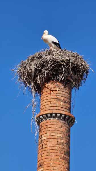 2023 02 06 portimao stork 037 d 2