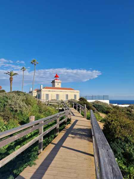 2023 02 07 ponta da piedade 057 d 2