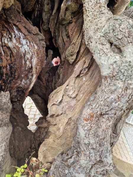 2023 02 09 alte 065 d 2