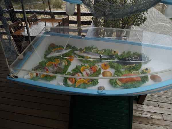 2023 02 11 alvor fish 076 d 2