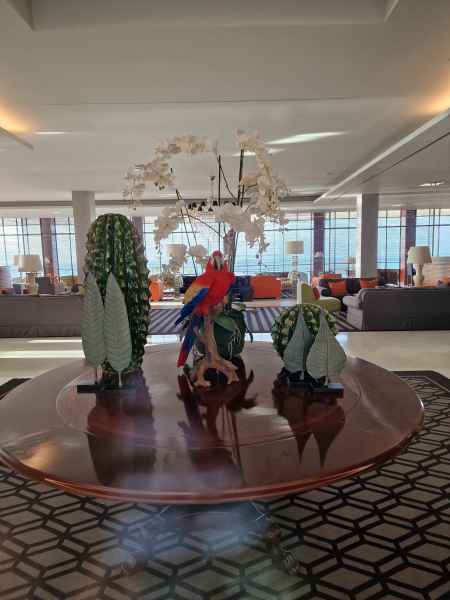 2023 02 13 praia da rocha 080 d 2