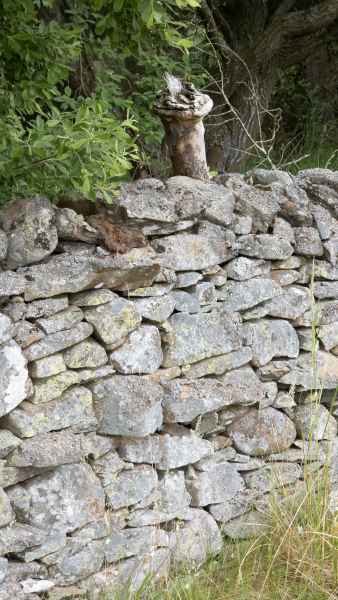 2023 06 17 hill rally lauder 026 