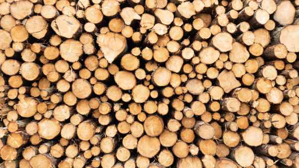 2023 06 17 hill rally lauder 029 