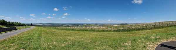 2023 06 22 carterbar 098 