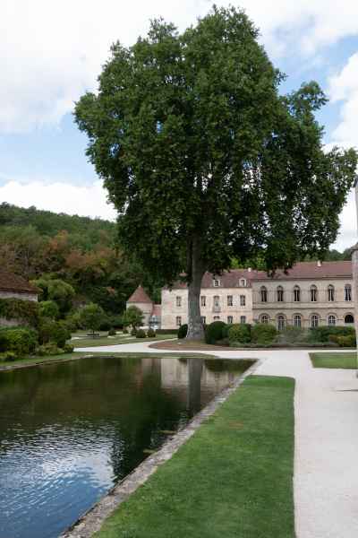 2023 08 24 abbaye de fontenay france2023 019 