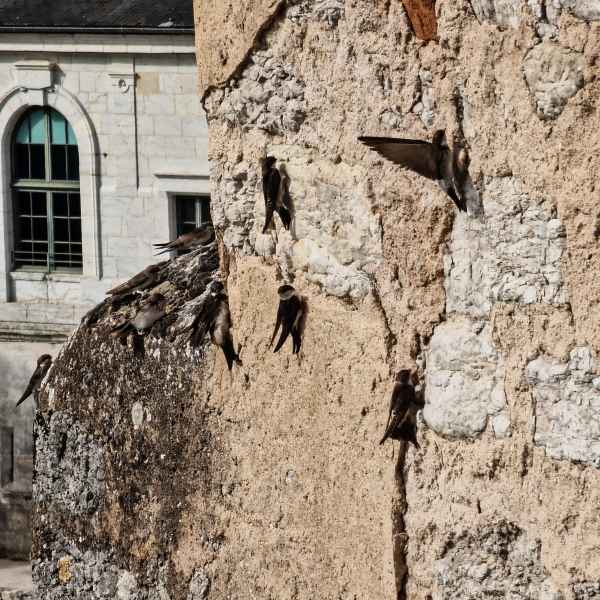 2023 09 06 cahors martins 182 