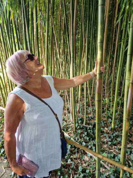 2023 09 16 1054 monet gardens 010 