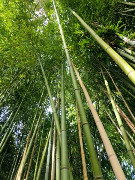 2023 09 16 1057 monet gardens 011 