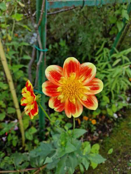 2023 09 16 1118 monet gardens 021 