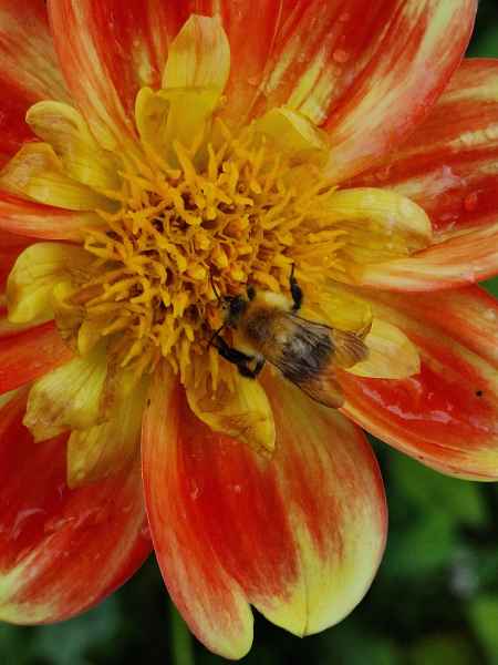 2023 09 16 1118 monet gardens 022 