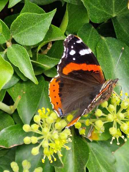 2023 09 16 1408 monet gardens 044 