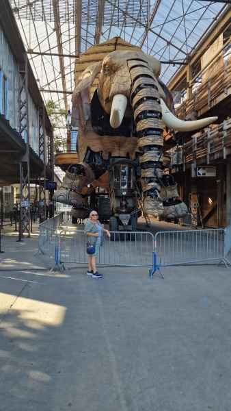 2023 09 13 denise sykes elephant les machines de l ile nantes 045 