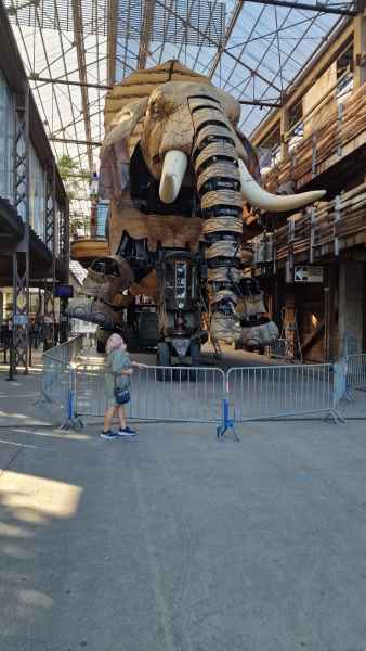 2023 09 13 denise sykes elephant les machines de l ile nantes 046 