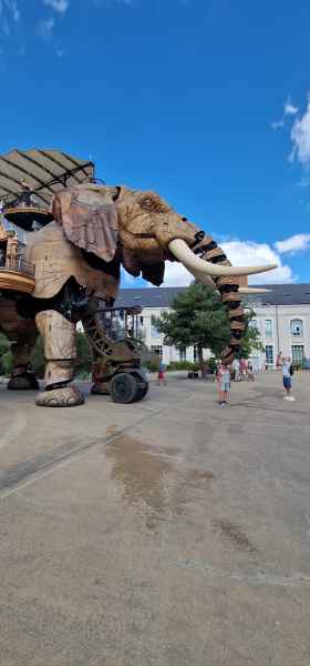 2023 09 13 denise sykes elephant les machines de l ile nantes 060 