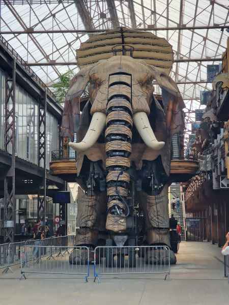 2023 09 13 elephant les machines de l ile nantes 062 