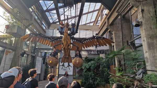 2023 09 13 les machines de l ile nantes pterodactyl 003 