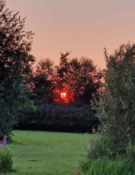 2024 07 18 2126 giethoorn 031  2