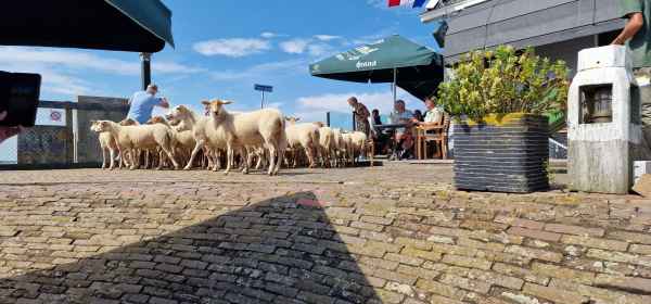 2024 07 30 1520 marken 023  2