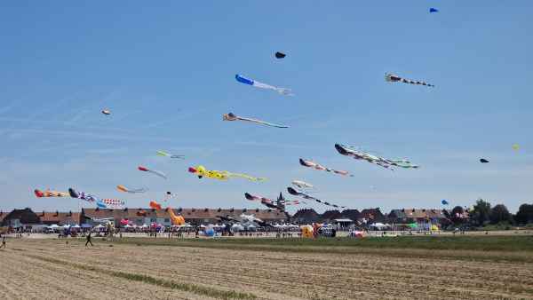 2024 08 11 1536 grand fort philippe gravelines kites 130  2
