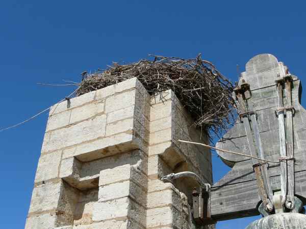 2006 09 28 algarve 2006 faro 057 jpg