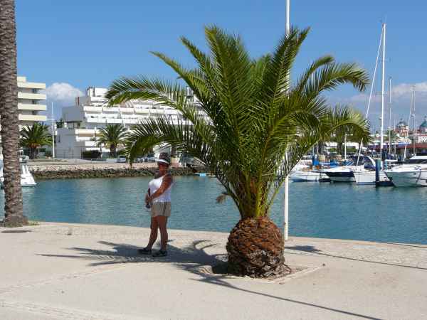 2006 10 01 algarve 2006 denise sykes villamoura 074 jpg