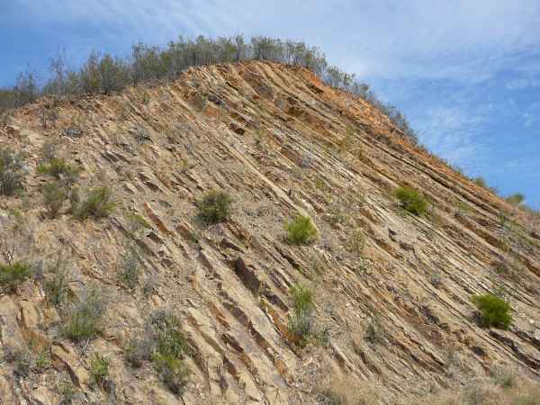2006 10 02 algarve 2006 lake arade 090 jpg