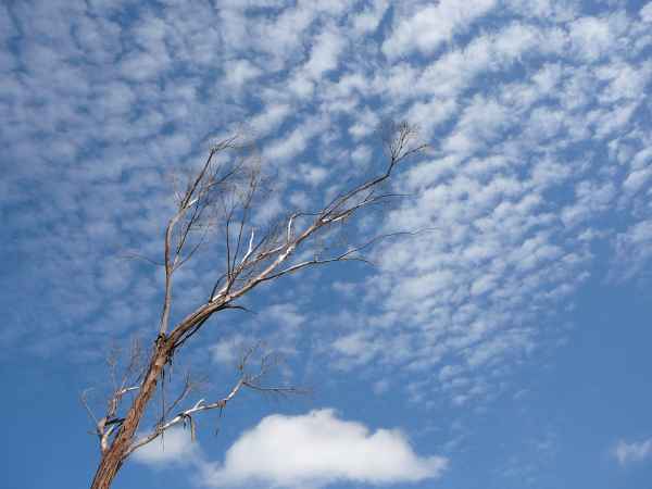 2006 10 02 algarve 2006 lake arade sky 087 jpg