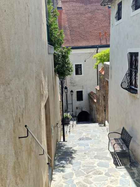 2025 06 29 1508 danube cruise durnstein 143  2