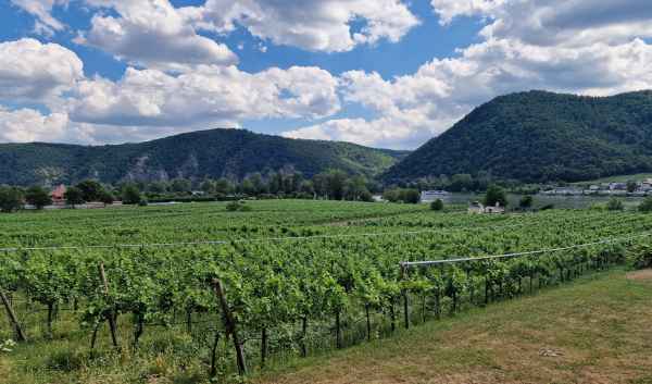 2025 06 29 1537 danube cruise durnstein 150  2