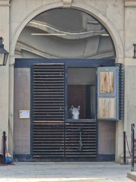 2025 06 30 1057 danube cruise heldenplatz 173  2