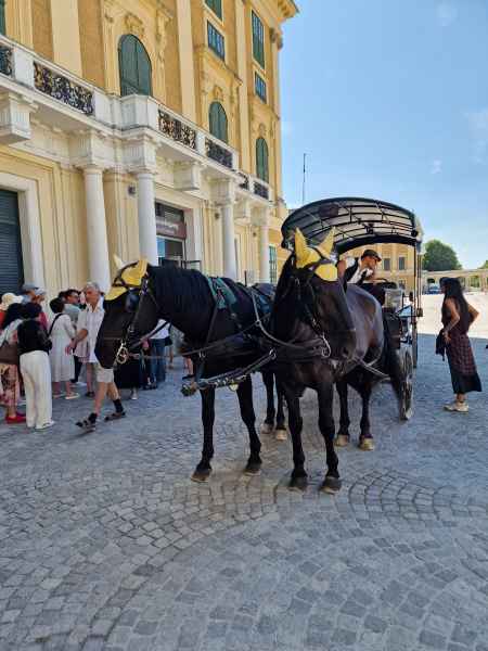 2025 06 30 1601 danube cruise shonbrunn palace 191  2