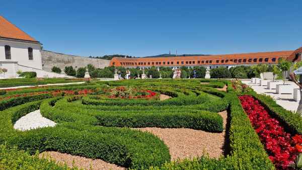 2025 07 01 1145 bratislava danube cruise 239  2