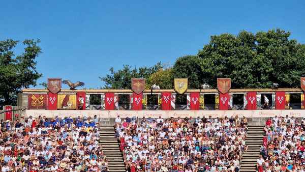  2025 08 08 1039 le bal des oiseaux fantomes puy du fou 038 