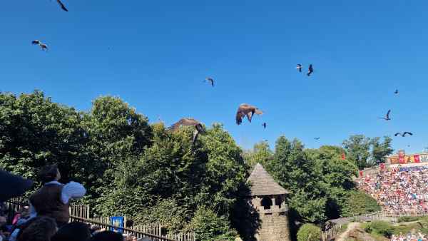  2025 08 08 1042 le bal des oiseaux fantomes puy du fou 040 
