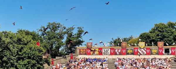 2025 08 08 1043 le bal des oiseaux fantomes puy du fou 041 