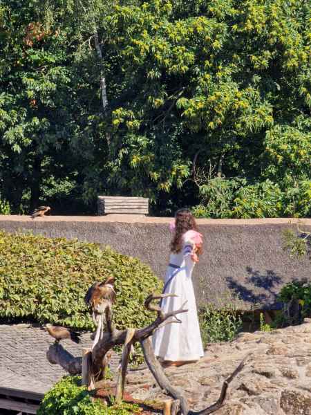  2025 08 08 1043 le bal des oiseaux fantomes puy du fou 131 
